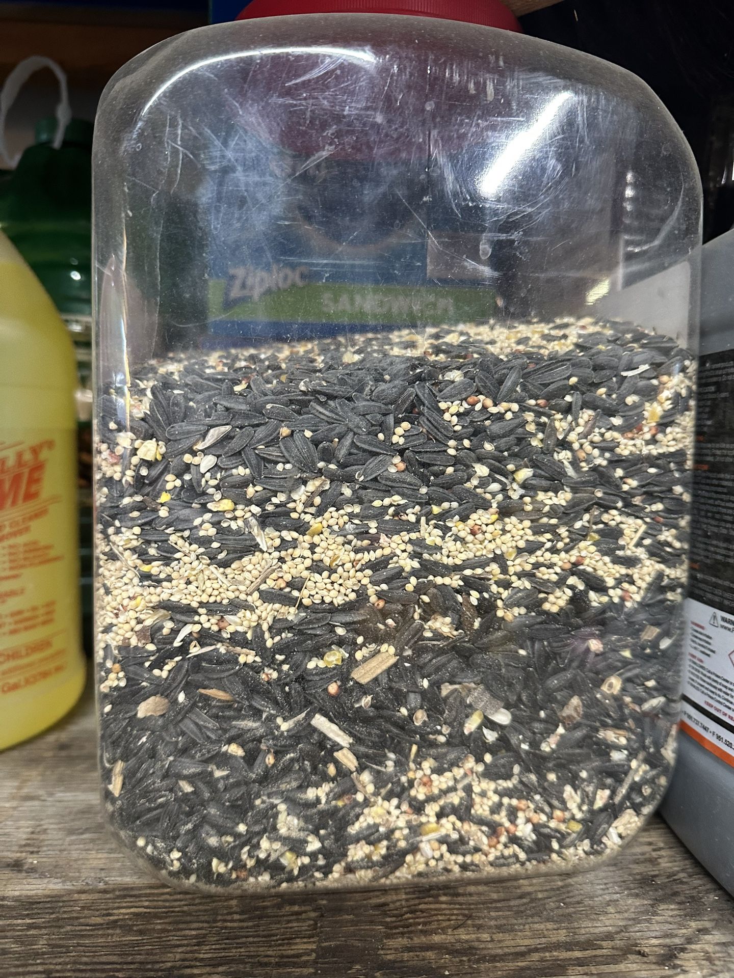 Bird Food