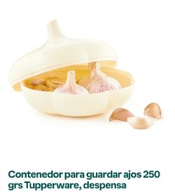TupperWare Verdura 🍅