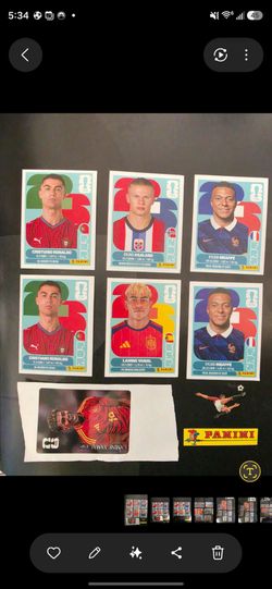 Panini WC Stickers