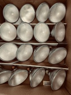 Halogen lights And recess can trim