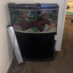 Fish Tank