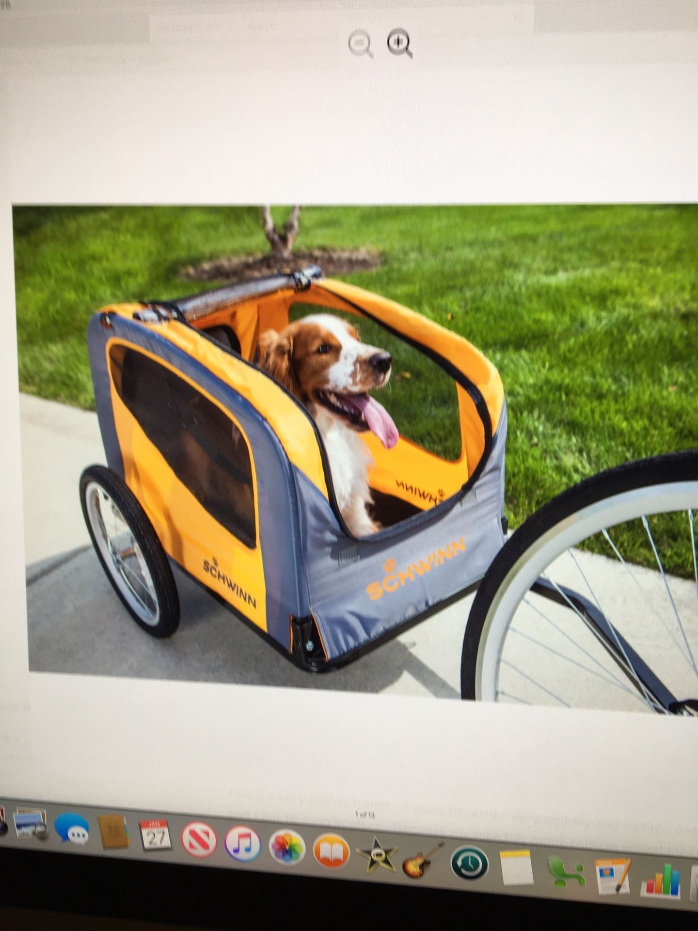 Schwinn Rascal Pet Trailer