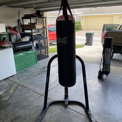 Punch Bag And Base Everlast 