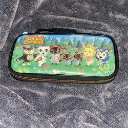 Nintendo Switch Game Traveler