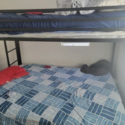 Metal Bunk Bed 