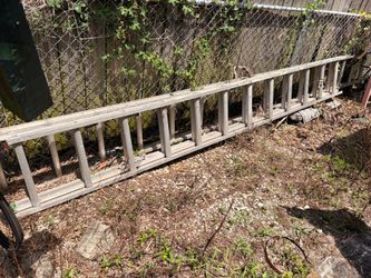 Extension Ladder Escalera