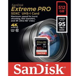 256GB SD Card