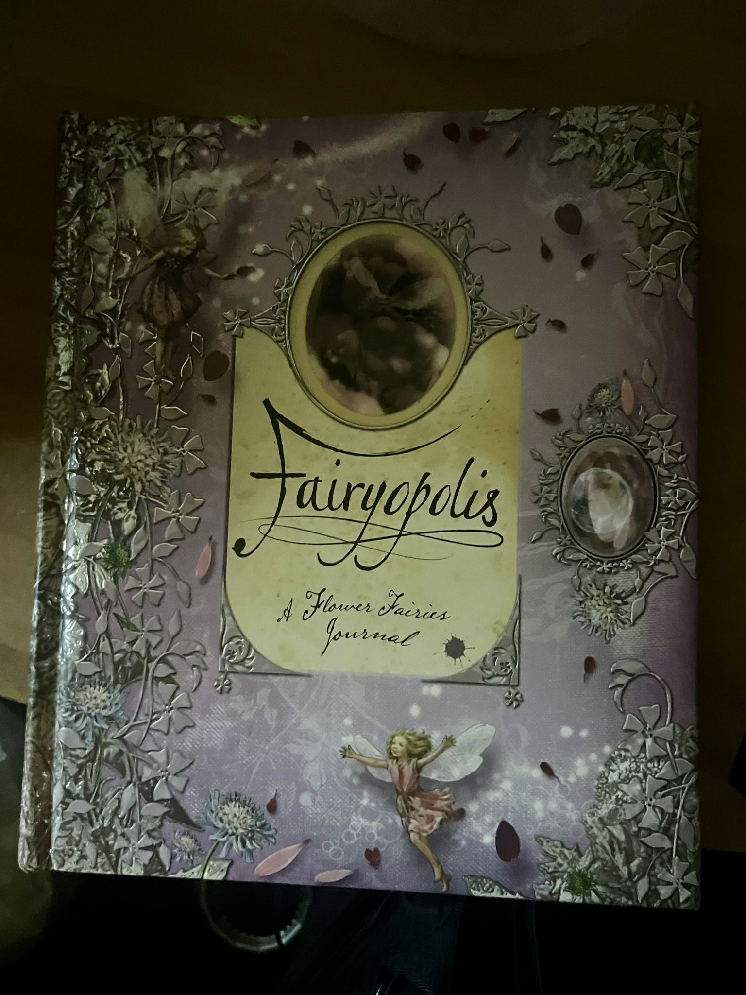 FairyPolis Story Book 