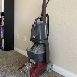 Carpet cleaner 