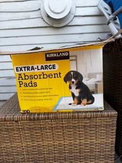 Absorbent Pads Extra Large Kirkland FREE