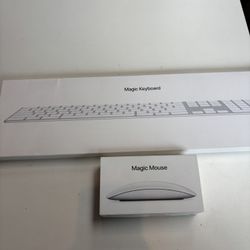 Apple Magic Mouse + Apple Magic Keyboard