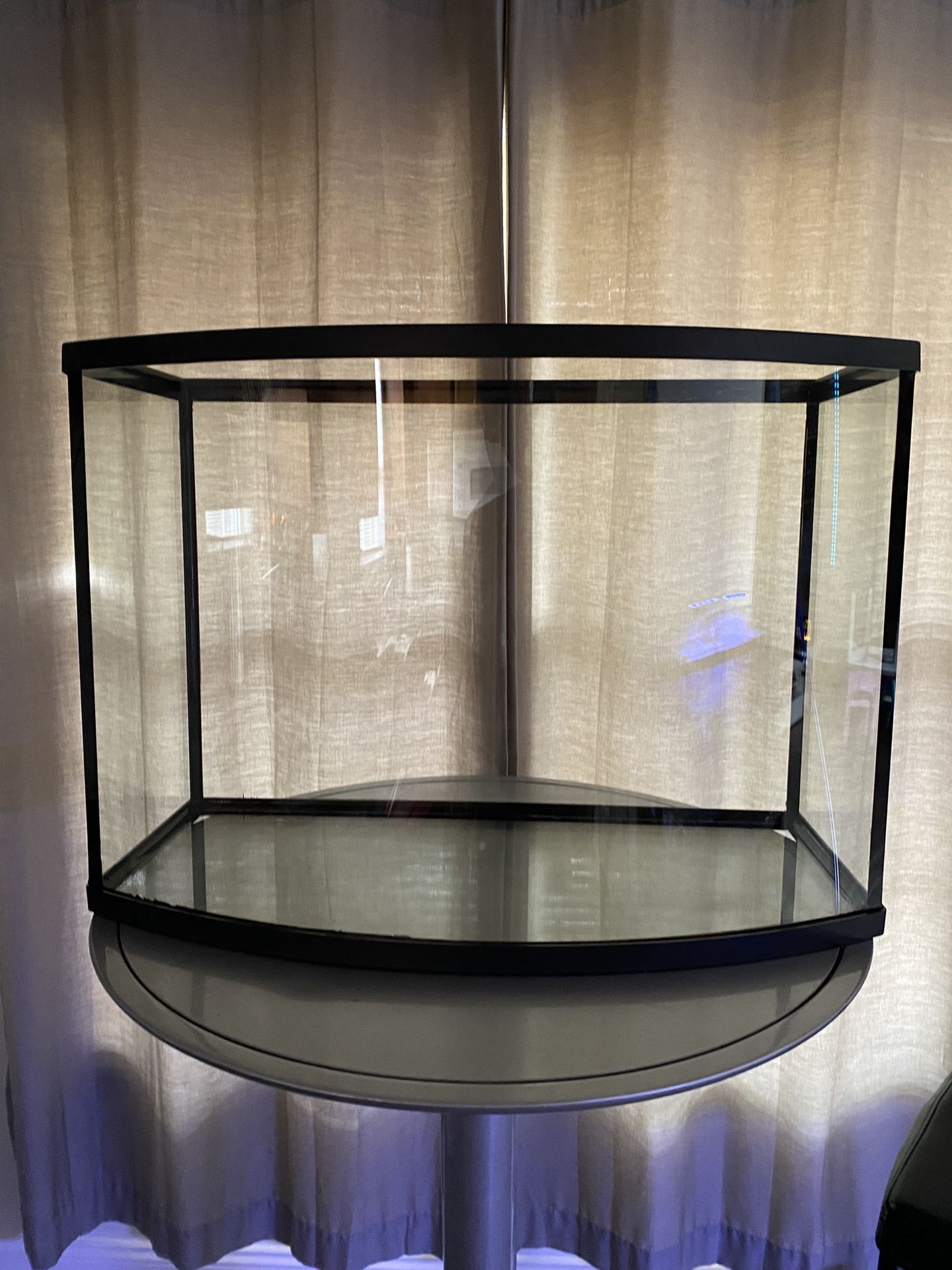 Fish Tank