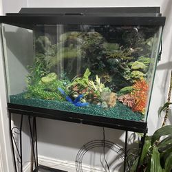 Fish Tank