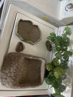 Reptile Decor