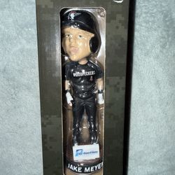 Houston Astros Jake Meyers Fayetteville Woodpeckers