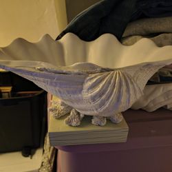 Big Sea Shell 