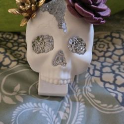 Skull Plug-In
