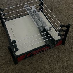 RAW Wrestling Ring
