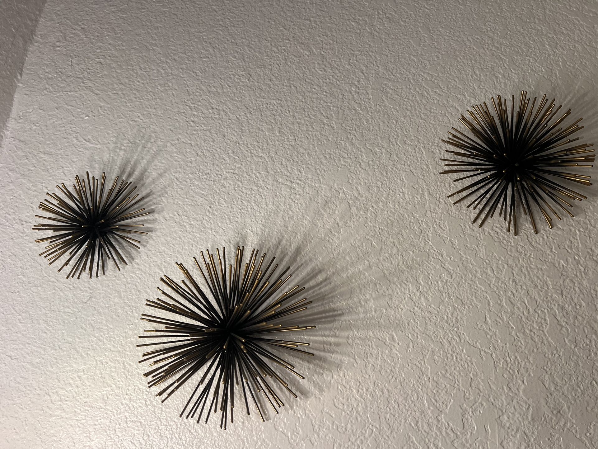 Sea Urchin Wall Decor
