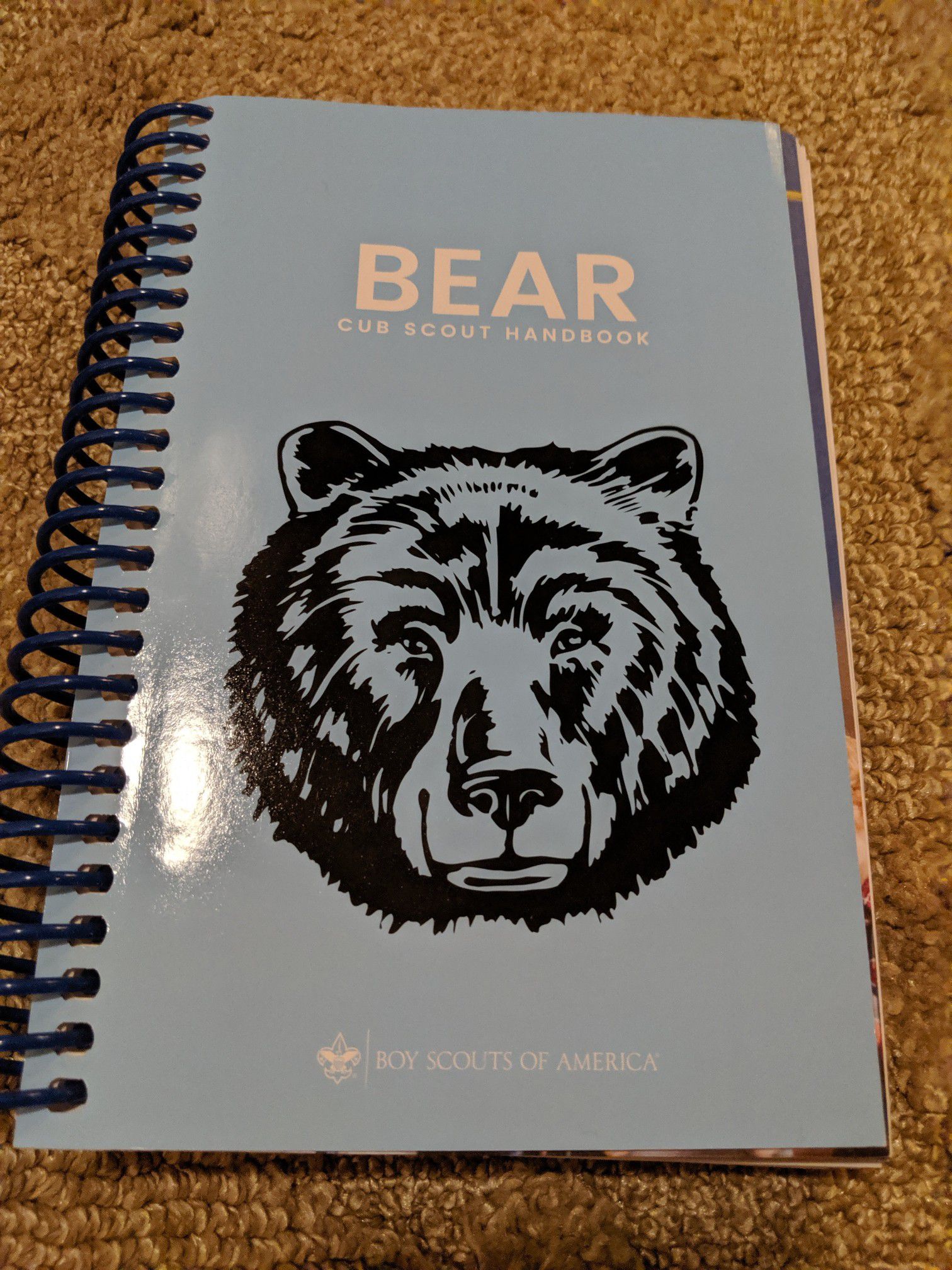 Cub Scouts Bear Handbook, 2018 Printing