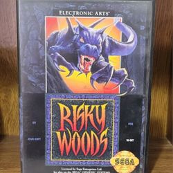 SEGA GENESIS RISKY WOODS - COMPLETE (TESTED & WORKING) 