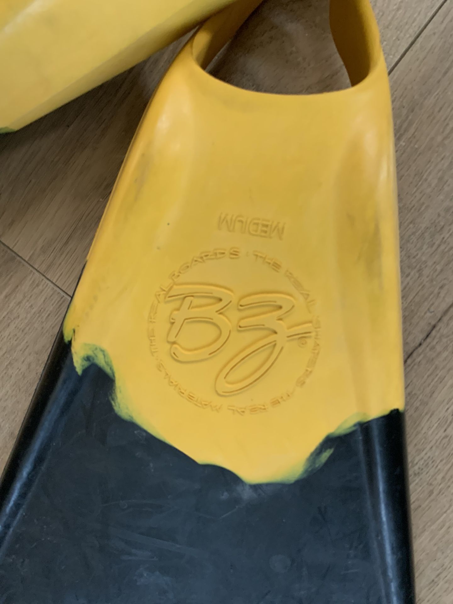 BZ Fins