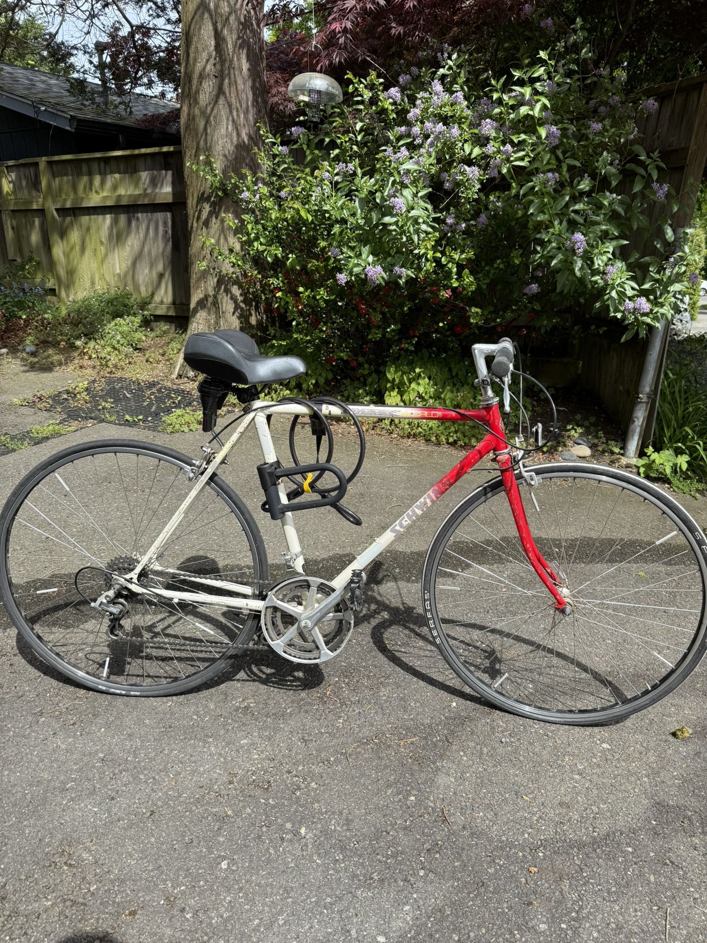 Schwinn World Bike Women