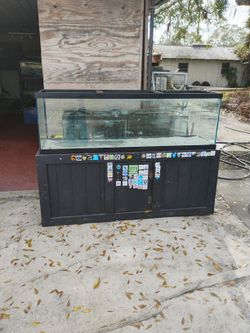 Fish Tank 125 Galón 