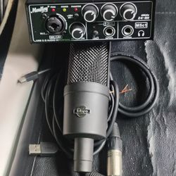Mic & Audio Interface 