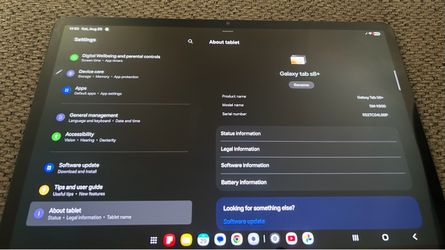 Samsung Galaxy Tab S8+ SM-X800 (Rare Model)