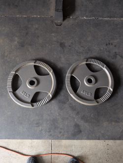 45 lb Plates
