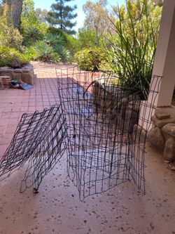 Wire tomatoe cages