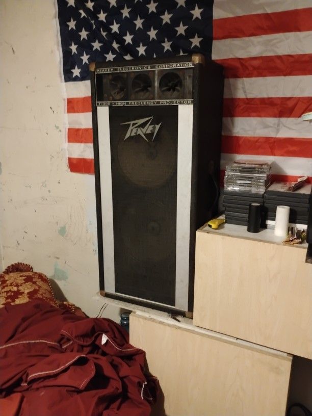 2 Peavey Speakers