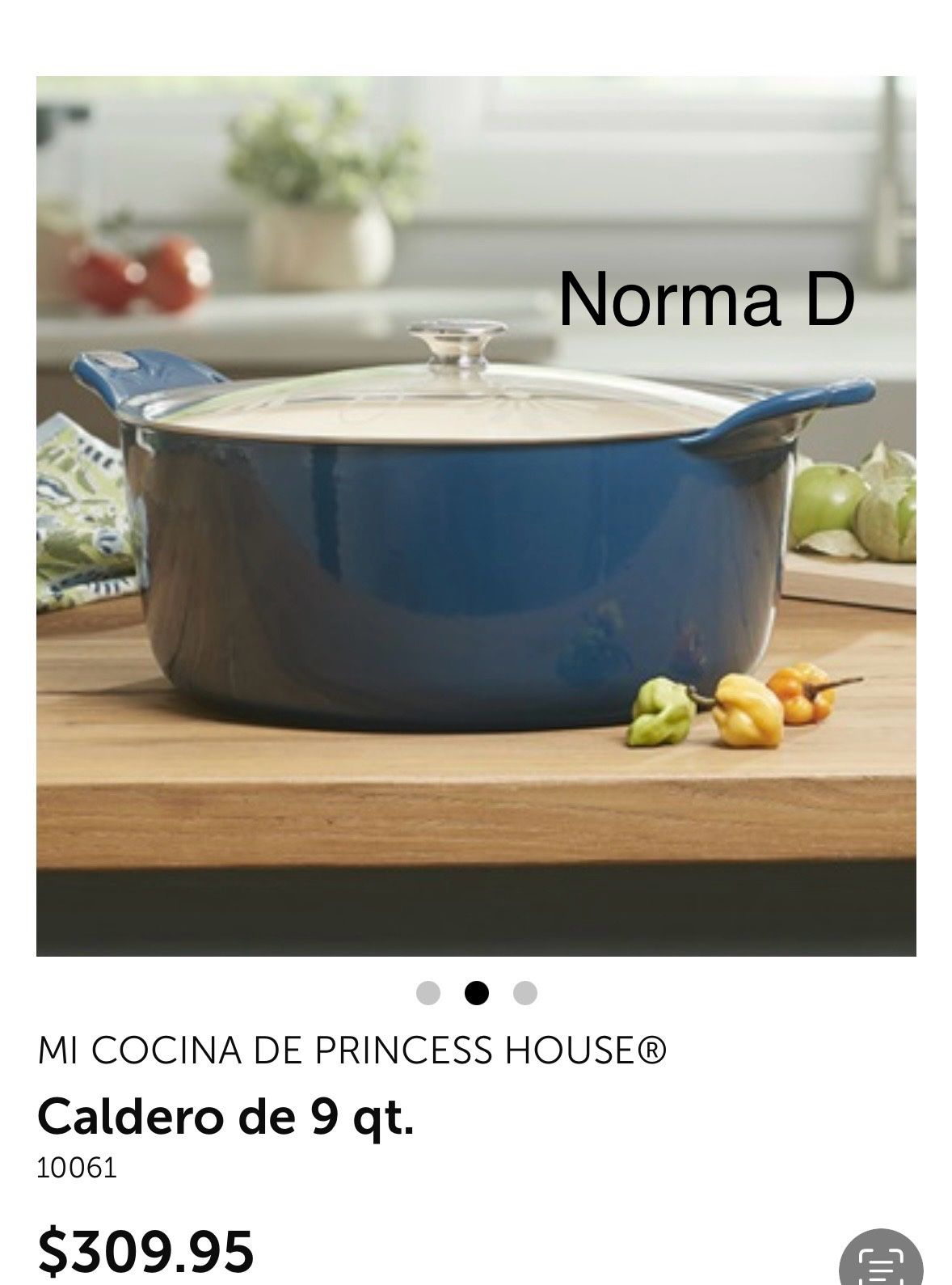 Olla De 9 Qts De Hierro Forjado Nueva En Su Caja 🌺 Princess House 🌺