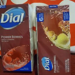Dial Bar Soap 6 Pack 