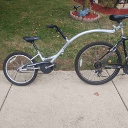 20" Schwinn Copilot Bike