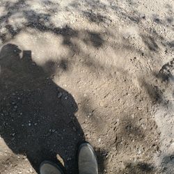 Free  Dirt