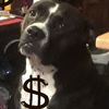 Trisha the deal maker 