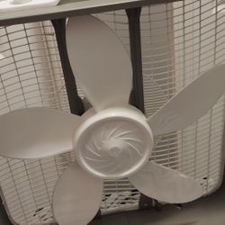 Fan Works Fine 