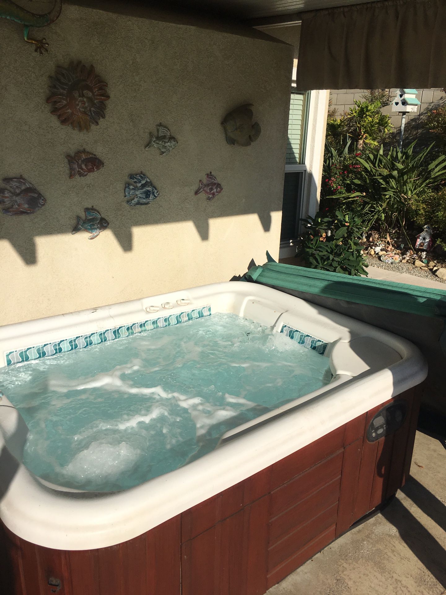 Hotspring spas hot tub!