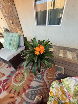 Yard sale Saturday  20 Sunday 21