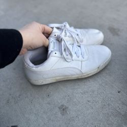White Pumas