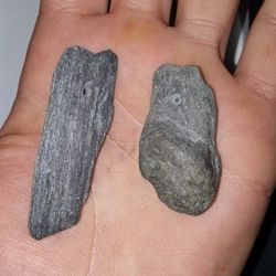 2 Petrified Wood Necklace Pendants