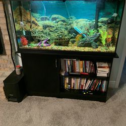 60 Gallon Fish Tank with stand 