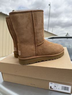 New sz 6 Classic Short Uggs