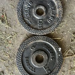 Pair Of 5 Lb Standard 1” Weights