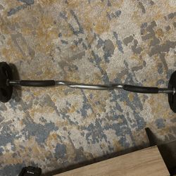 Curl Bar 