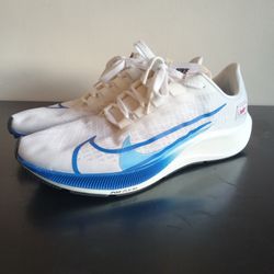Nike Pegasus 37 BRS (Sz 13)