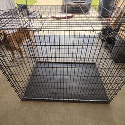 XXL (Jumbo) Dog Crate
