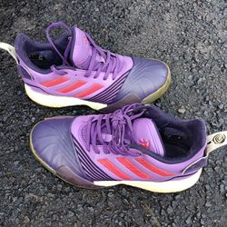 Adidas's Retro Milinium Raptors 